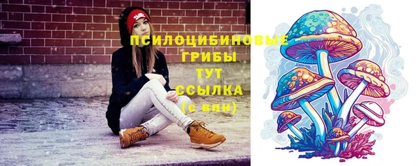 кристаллы Карпинск