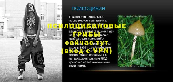 кристаллы Карпинск